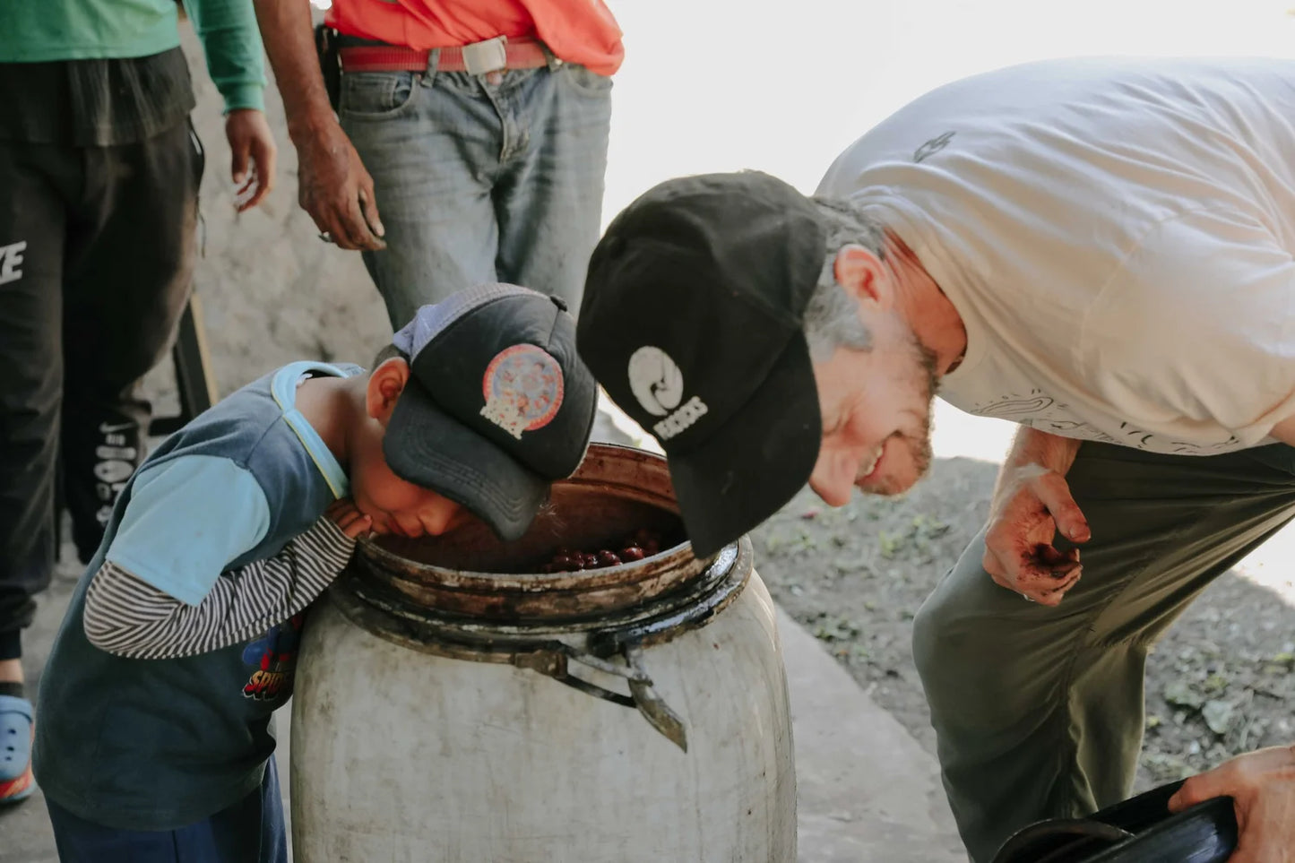 290 厄瓜多 Hacienda La Papaya 木瓜莊園 水洗淺烘