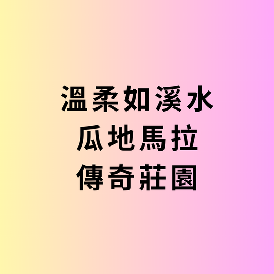 Donate Coffee 瓜地馬拉 El Injerto 波旁淺烘 150 克